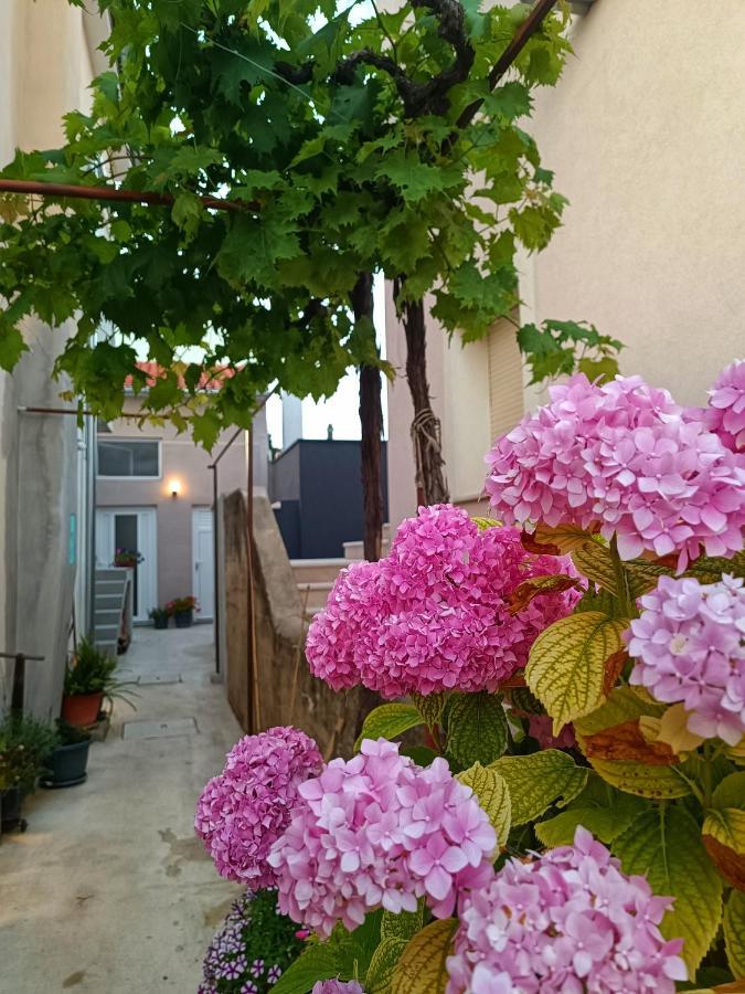 Apartman Gallery Freya Zadar Exterior photo